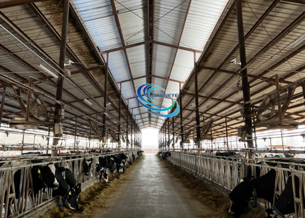 1664440761311553.png d1.png